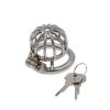 Stainless Steel Penis Cage Chastity Lock for Adult Play
