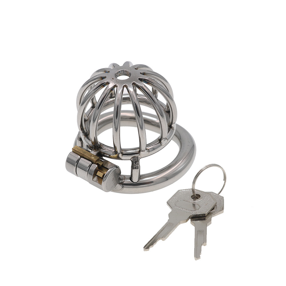 Stainless Steel Penis Cage Chastity Lock for Adult Play - Image 7