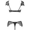 Bella Lace Sleeve Microfiber Thong Bra Set for Women