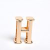 Customizable Flirty Letter Collar for Couples - Playful Accessory