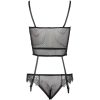 French Style Lace Perspective Sexy Bra Garter Belt Briefs Set