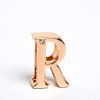 Customizable Flirty Letter Collar for Couples - Playful Accessory