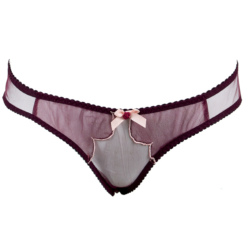 Purplish Red Embroidered AP Tulle Bra & Panty Set for Big Busts - Image 7