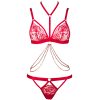 Red Rose Embroidered Halter Neck Diamond Chain French Triangle Cup Cut Out Low Waist Panty Set for Women