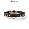 Customizable Flirty Letter Collar for Couples - Playful Accessory
