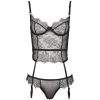 French Style Lace Perspective Sexy Bra Garter Belt Briefs Set