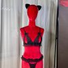Cute Lace Bow Cat Ear Bra Set with Leg Loop