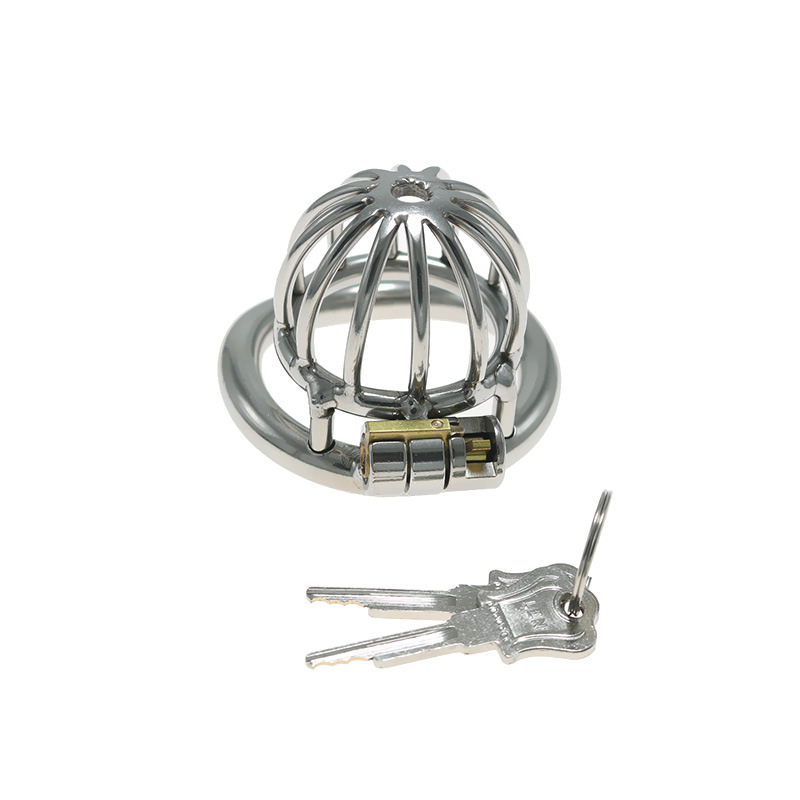 Stainless Steel Penis Cage Chastity Lock for Adult Play - Image 6