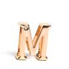 Customizable Flirty Letter Collar for Couples - Playful Accessory