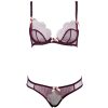 Purplish Red Embroidered AP Tulle Bra & Panty Set for Big Busts