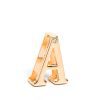 Customizable Flirty Letter Collar for Couples - Playful Accessory