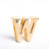 Customizable Flirty Letter Collar for Couples - Playful Accessory