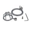 Metal Birdcage Chastity Device for Men - Small Grid Male Lock