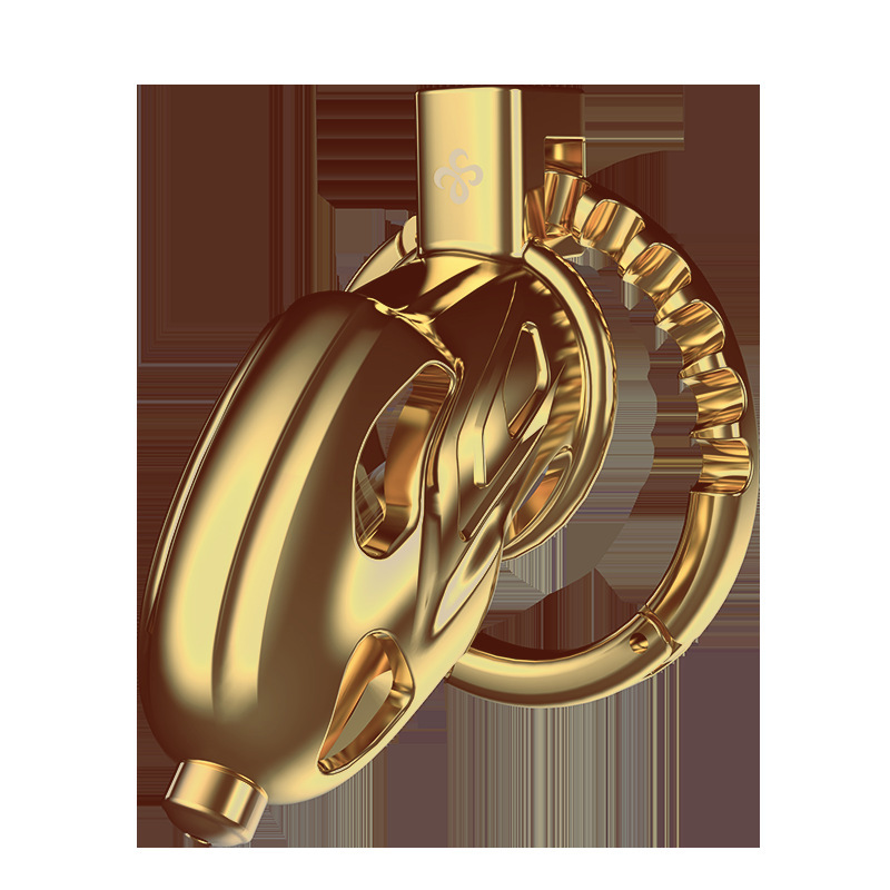 Samanda Royal Dragon Metal Men's CB chastity lock penis lock SM training ascetic toy - Image 5