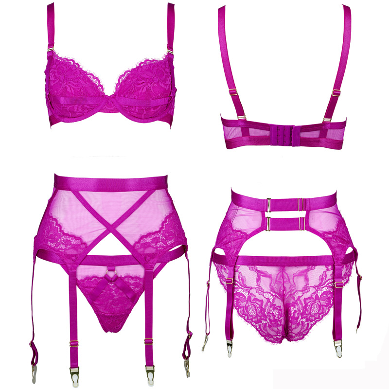 Lace Elastic Memory Wire Double Layer Micro Push-up Bra Set - Image 4