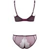 Purplish Red Embroidered AP Tulle Bra & Panty Set for Big Busts