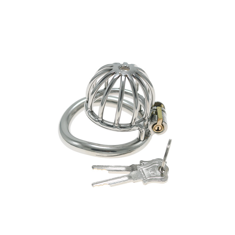 Stainless Steel Penis Cage Chastity Lock for Adult Play - Image 5