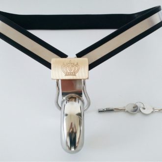 Stainless Steel Y-Strap Chastity Device for Men – Secure Private Lock Underwear