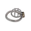 Stainless Steel Mini Hollow Chastity Lock Cage for Men - Discreet Wearable Design