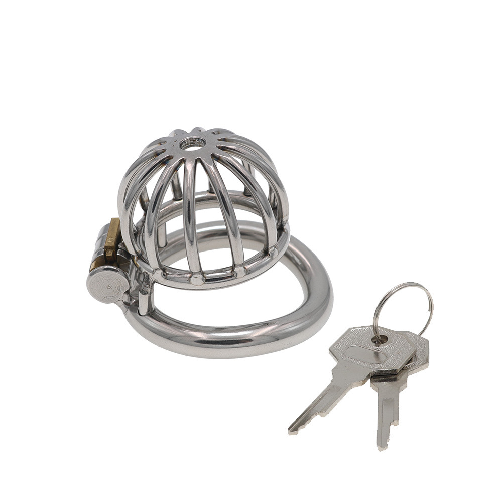 Stainless Steel Penis Cage Chastity Lock for Adult Play - Image 2