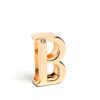 Customizable Flirty Letter Collar for Couples - Playful Accessory