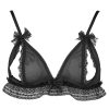 Cute Lace Bow Cat Ear Bra Set with Leg Loop