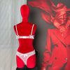 Pure Desire Low Waist Sexy Thong Bra Set for Women