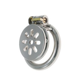 Stainless Steel Chastity Lock Penis Cage for Adult Play