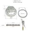 Stainless Steel Thickened Flat Chastity Cage for Men's Daily Wear