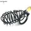Large Stainless Steel Chastity Lock for Men - Secure Couple's Passion Tool